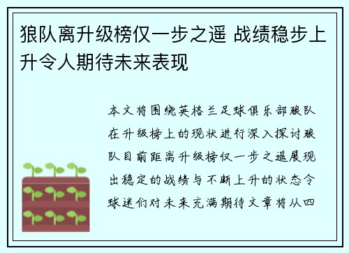 狼队离升级榜仅一步之遥 战绩稳步上升令人期待未来表现