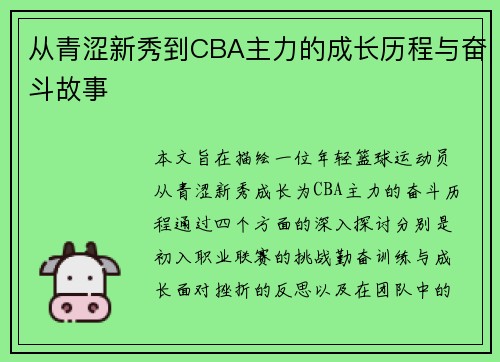 从青涩新秀到CBA主力的成长历程与奋斗故事