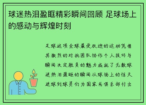 球迷热泪盈眶精彩瞬间回顾 足球场上的感动与辉煌时刻